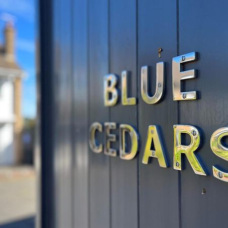 Vila Blue Cedars Minehead Exteriér fotografie